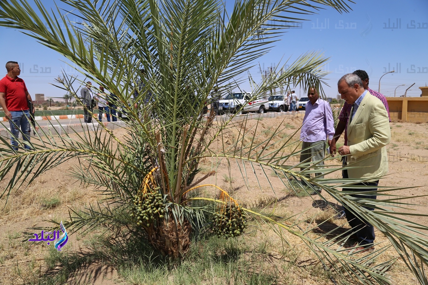 محافظ قنا يتفقد مشروعات الأمن الغذائي بـ المعنا محافظ قنا يتفقد مشروعات الأمن الغذائي بـ المعنا