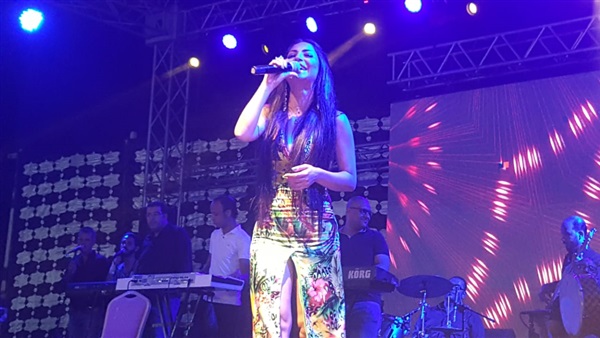 دوللى شاهين