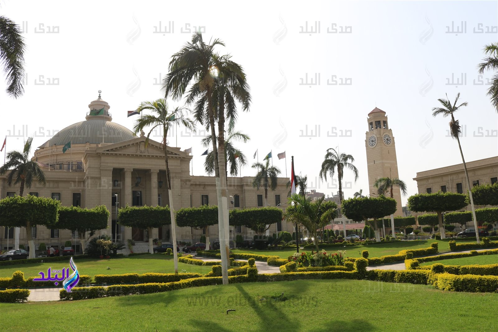 جامعة القاهرة جامعة القاهرة