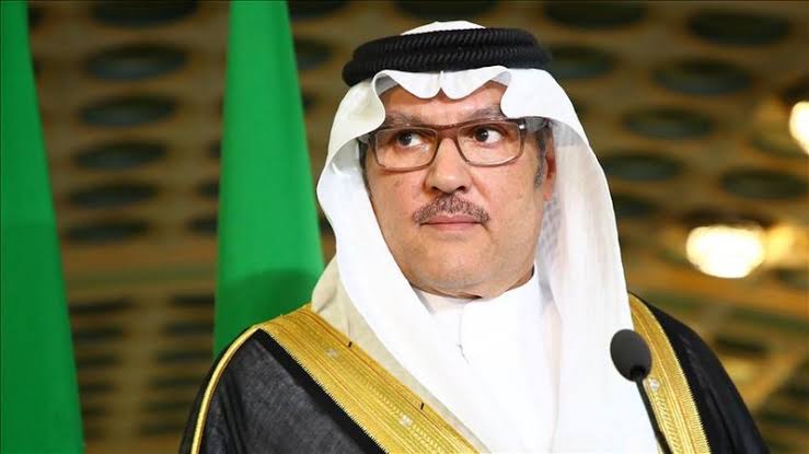 سفير السعودية لدى مصر