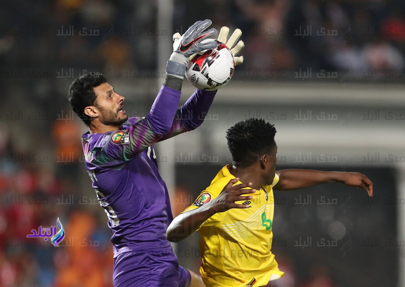 محمد الشناوي