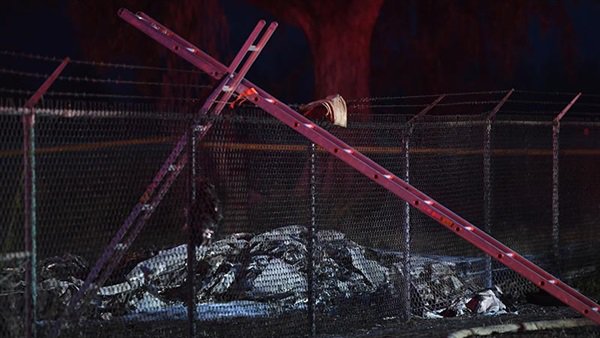 ارتفاع ضحايا تحطم طائرة في هاواي إلى 11