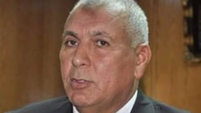 محافظ الوادي الجديد محافظ الوادي الجديد