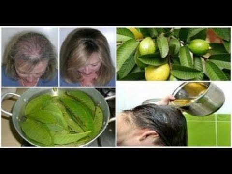 بديل لزيت الشعر ..وصفة بجنية تقضى على تساقطه