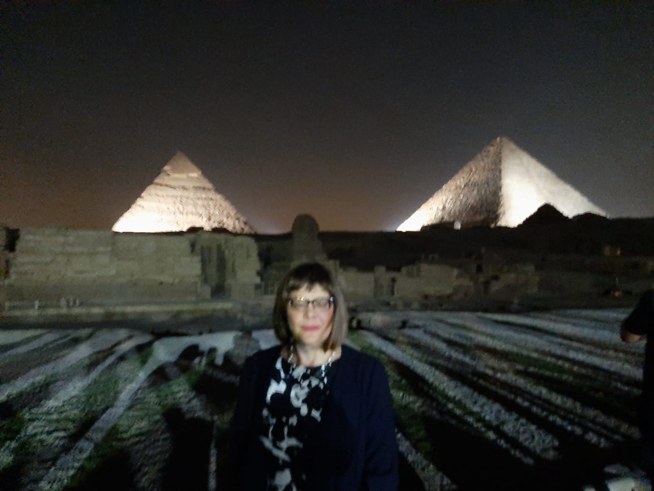 رئيسة البرلمان الصربى رئيسة البرلمان الصربى