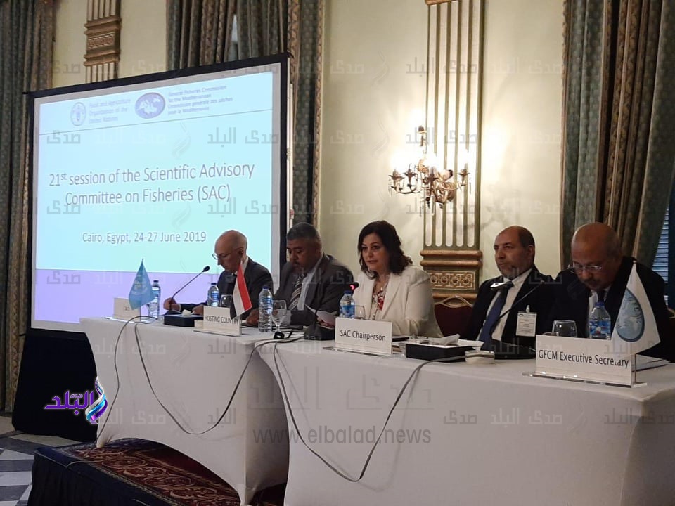 الدكتورة منى محرز خلال مشاركتها في الفعاليات الدكتورة منى محرز خلال مشاركتها في الفعاليات