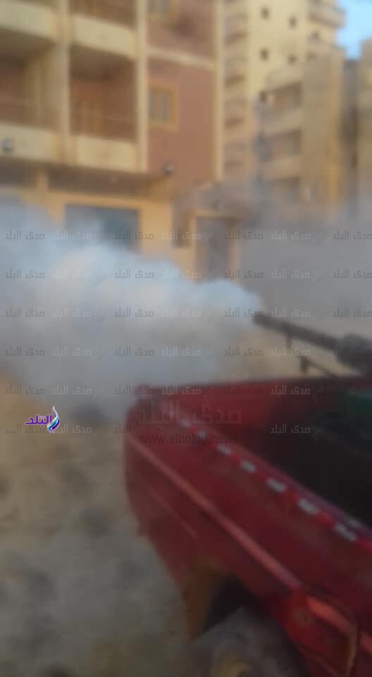 حملات مكثفة لمكافحة الحشرات خلال فصل الصيف بمطروح حملات مكثفة لمكافحة الحشرات خلال فصل الصيف بمطروح