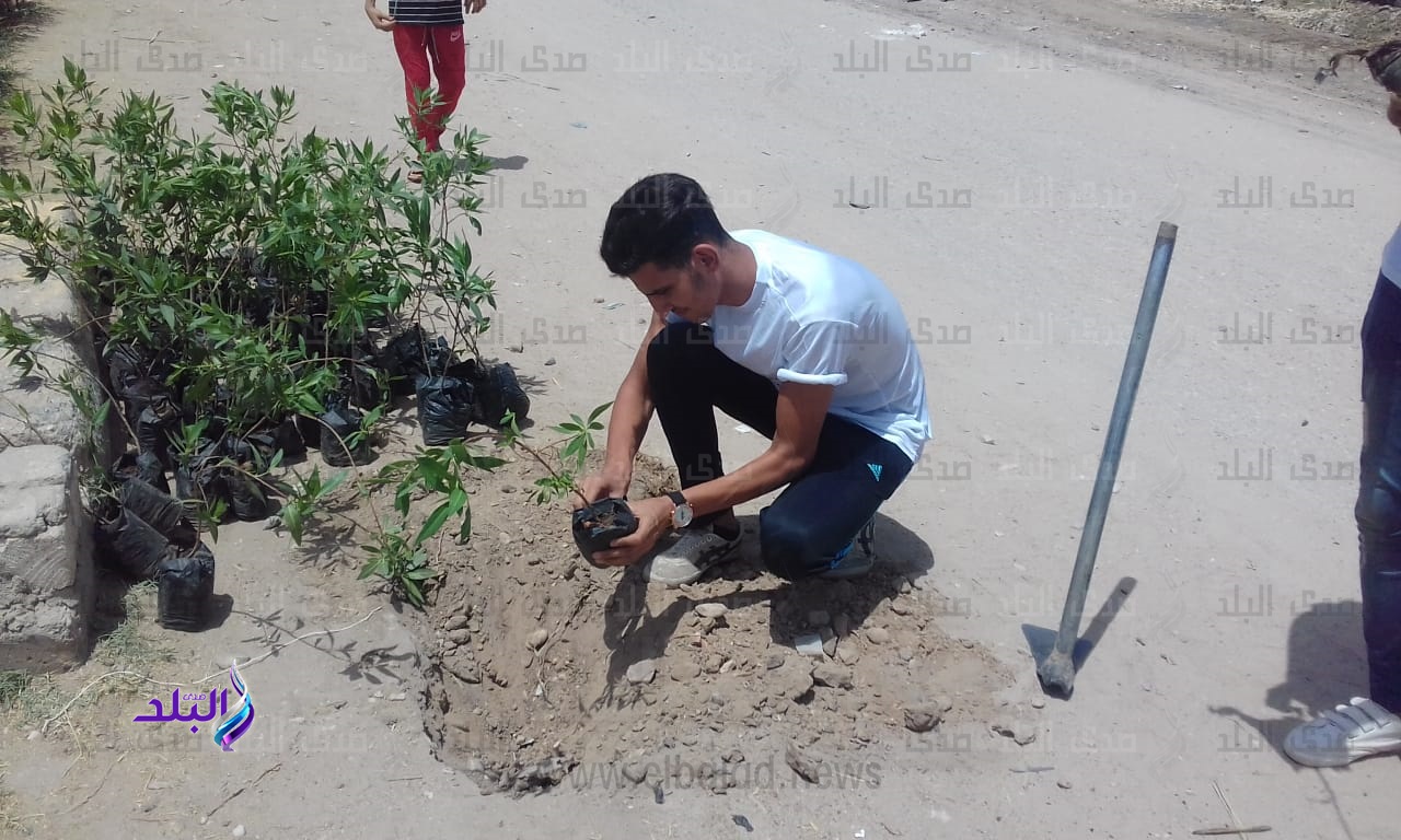 حملة للتشجير حملة للتشجير