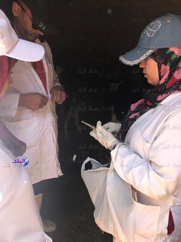 حملات التحصين حملات التحصين