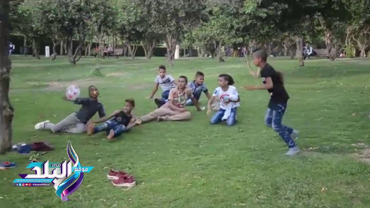 احتفالات محافظة القاهرة بذكرى ثورة 30 يونيو احتفالات محافظة القاهرة بذكرى ثورة 30 يونيو