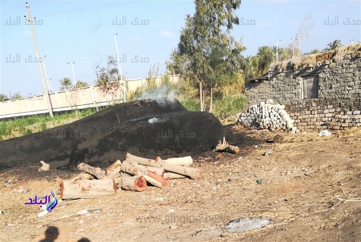 مكامير الفحم المخالفة مكامير الفحم المخالفة
