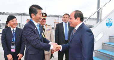 القمة الصينية الإفريقية المصغرة القمة الصينية الإفريقية المصغرة