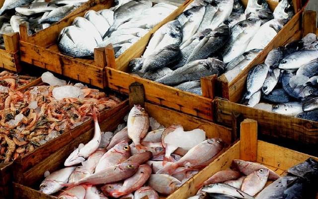 أسعار الأسماك والمأكولات البحرية اليوم الأربعاء في الأسواق