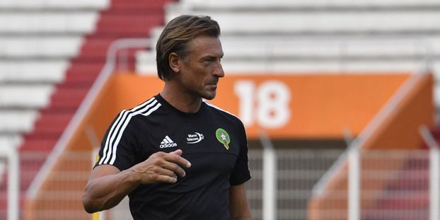 الفرنسي هيرفي رينارد المدير الفني للمنتخب المغربي