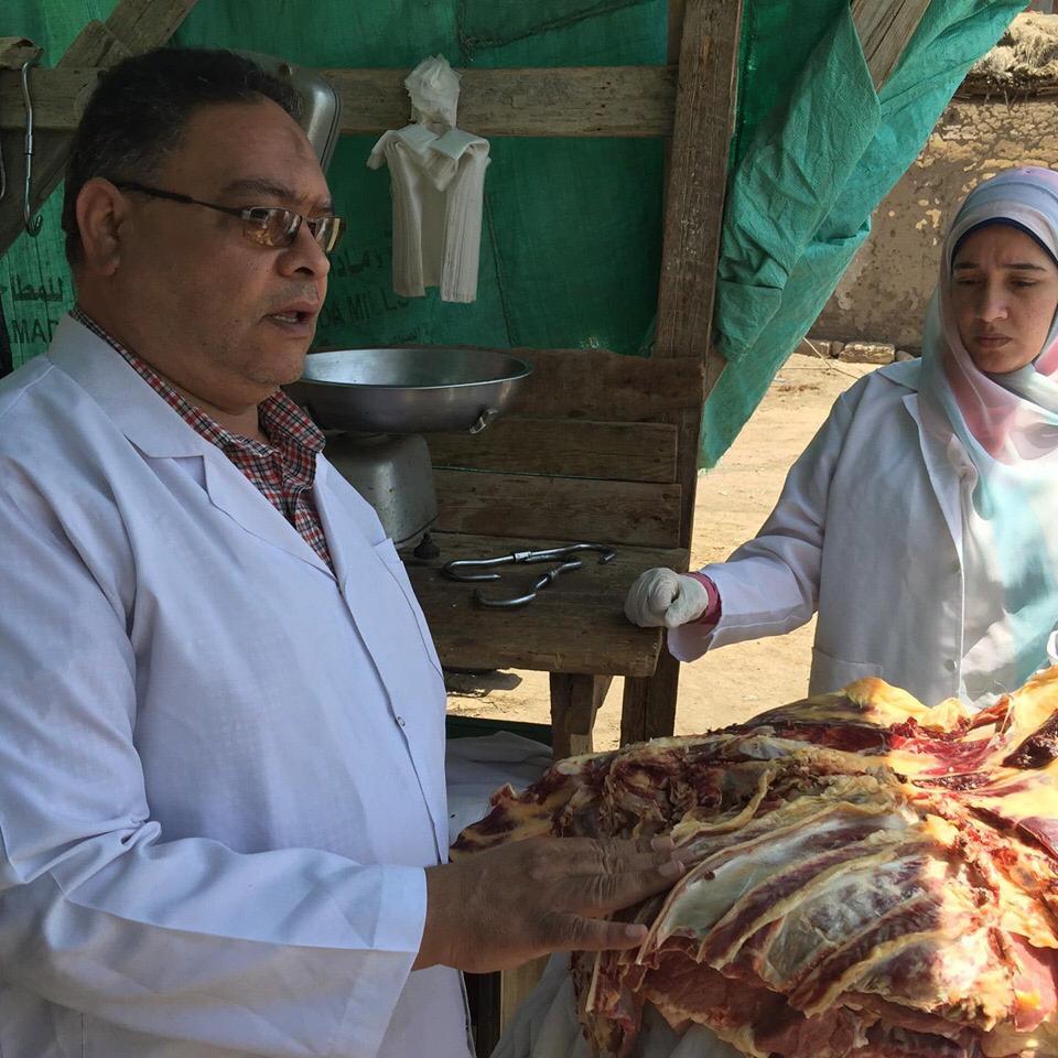 بيطري بالدقهلية تضبط 800 كجم لحوم ودواجن وأسماك فاسده بنبروه بيطري بالدقهلية تضبط 800 كجم لحوم ودواجن وأسماك فاسده بنبروه