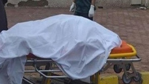 مصرع مبيض محارة سقط من الدور العاشر بالمنصورة مصرع مبيض محارة سقط من الدور العاشر بالمنصورة