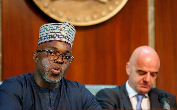 رئيس الإتحاد النيجيري 