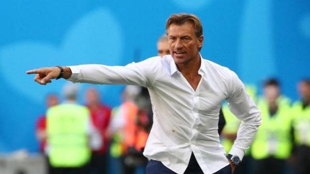 هيرفي رينارد