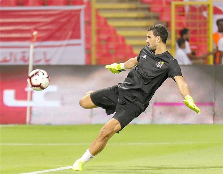 محمد عواد محمد عواد