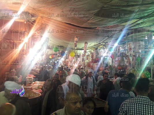 بدء احتفالات مولد سلطان الصعيد بأسيوط