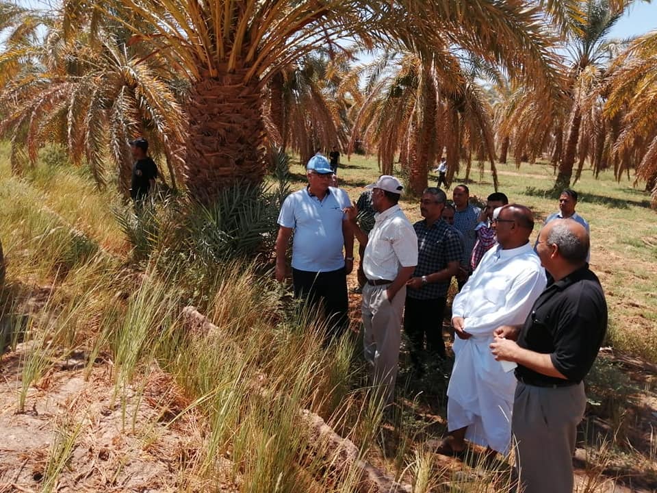 محافظ الوادى الجديد : طرح ارض بئر الصحاري بالداخلة للإيجار محافظ الوادى الجديد : طرح ارض بئر الصحاري بالداخلة للإيجار