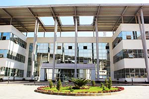 الجامعة المصرية الصينية  الجامعة المصرية الصينية