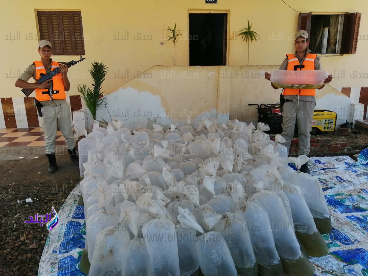 ضبط 130 ألف وحدة زريعة أسماك في كفر الشيخ