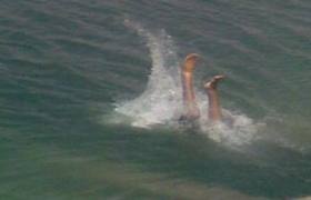 صورة أرشيفية - غرق 