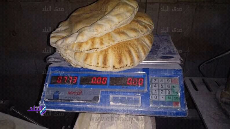 ضبط 32 مخبز مدعم مخالف وغلق 3 مستودعات غاز بالبحيرة ضبط 32 مخبز مدعم مخالف وغلق 3 مستودعات غاز بالبحيرة