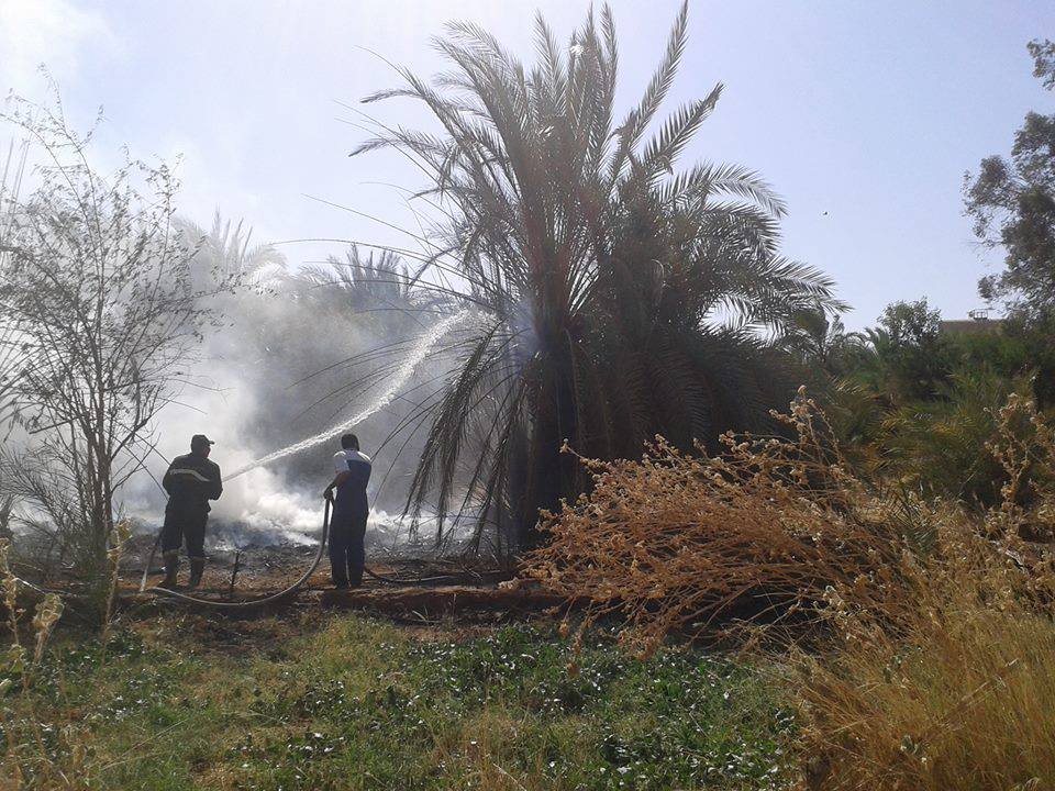 السيطرة على حريق بمزرعة نخيل