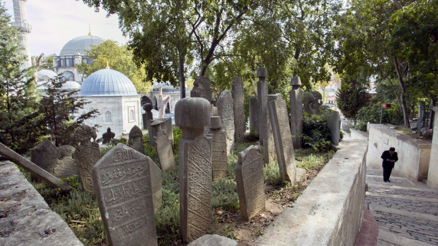 حكم زرع الأشجار داخل المقابر حكم زرع الأشجار داخل المقابر