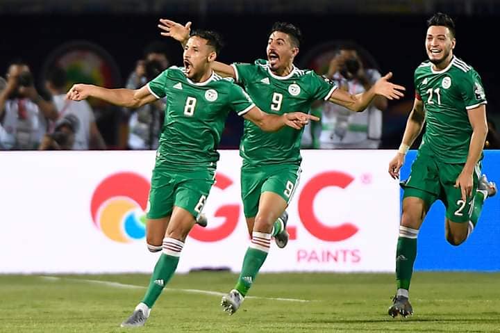 نجوم منتخب الجزائر نجوم منتخب الجزائر