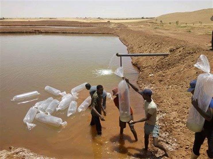 إقامة مشروعات الاستزراع بالوادي الجديد