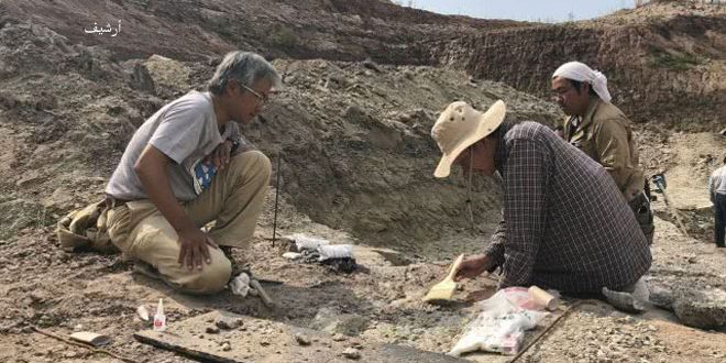 اكتشاف لوحة حجرية عمرها 1225 عاما شمالي الصين اكتشاف لوحة حجرية عمرها 1225 عاما شمالي الصين