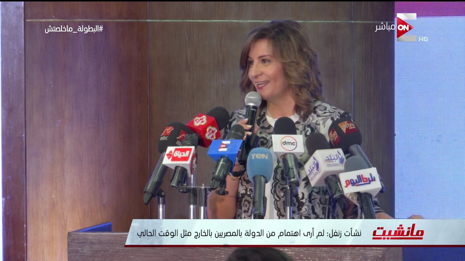 اهتمام الدولة بالمصريين بالخارج