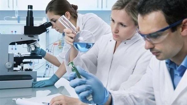 دراسات الاسبوع
