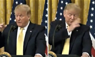 الذبابة وترامب الذبابة وترامب