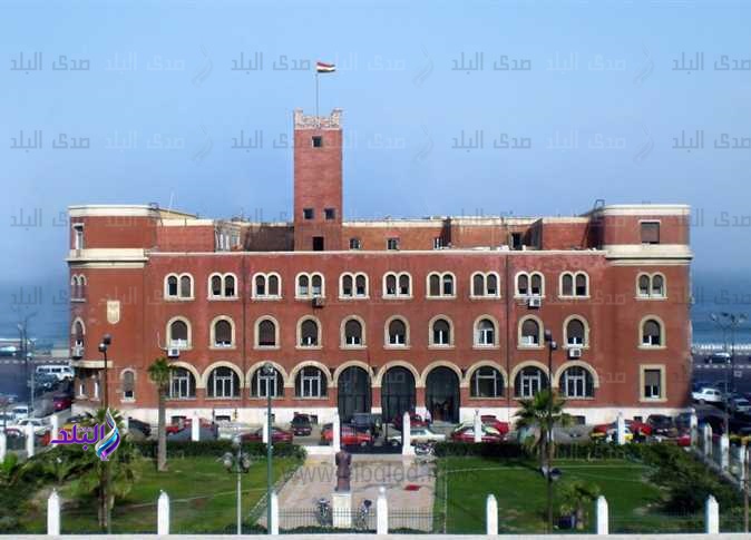 جامعة الاسكندرية