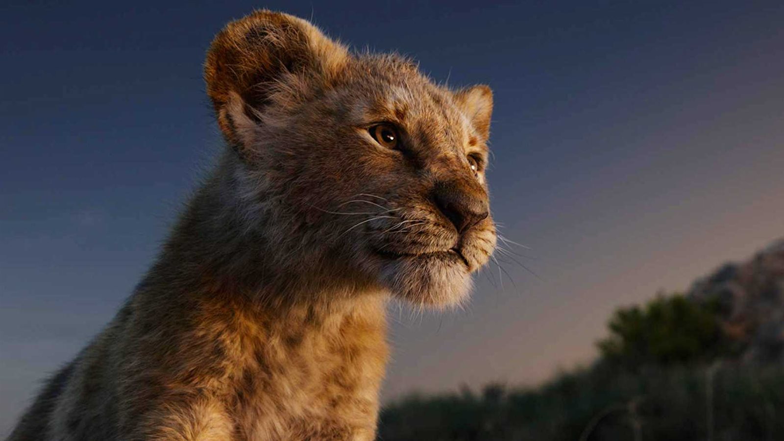 The Lion King The Lion King