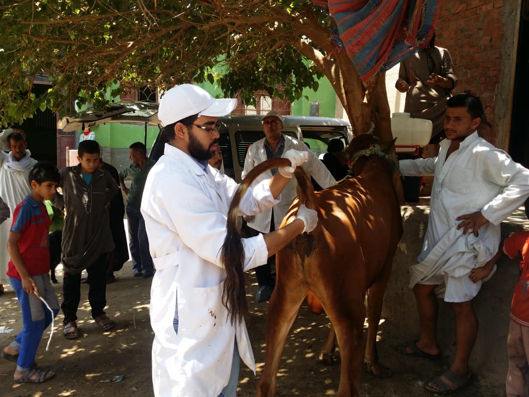 قافلة بيطرية قافلة بيطرية