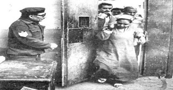 سميحة عبد الحميد محمد 