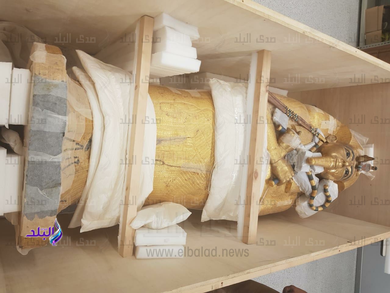 التابوت الذهبي 