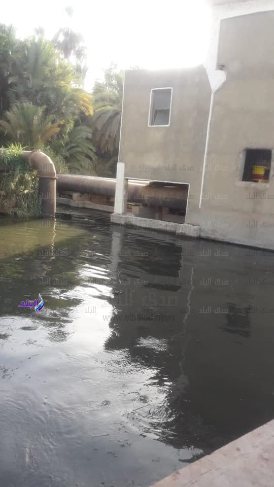رى أسوان تنفذ أعمال تطهير