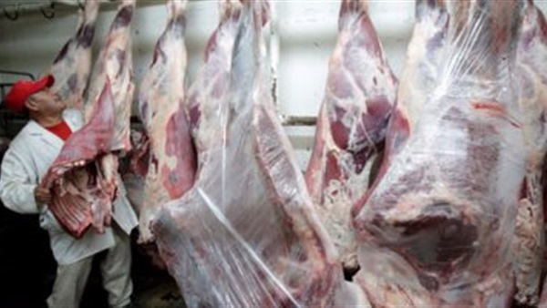 لحوم الاضاحى