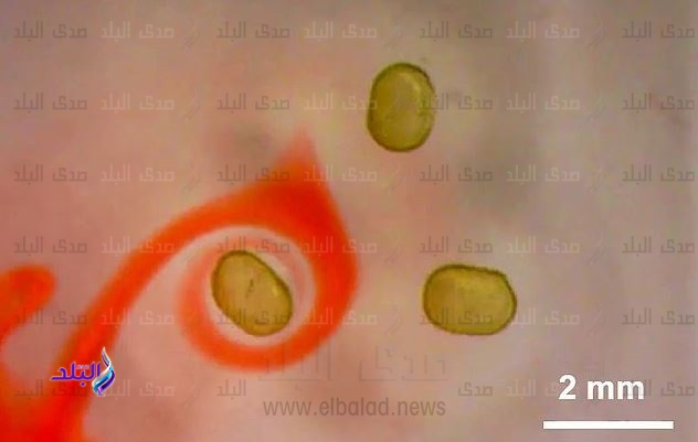 صورة توضيحية للمغناطيس السائل