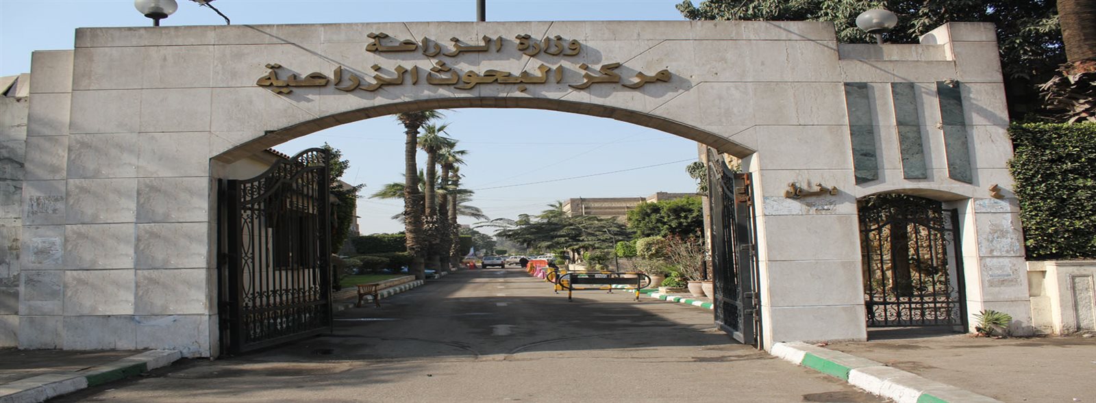 مركز البحوث الزراعية مركز البحوث الزراعية