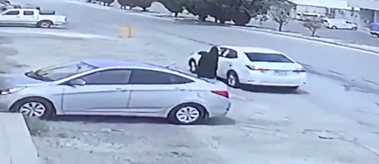 لقطة من الفيديو 