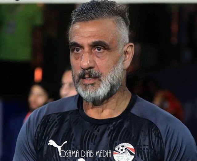 احمد الشناوى