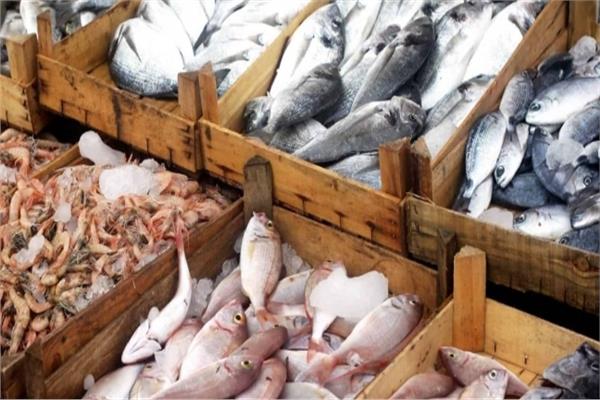 أسعار الاسماك في سوق العبور أسعار الاسماك في سوق العبور