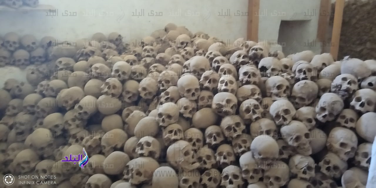 .متحف جماجم سانت كاترين 